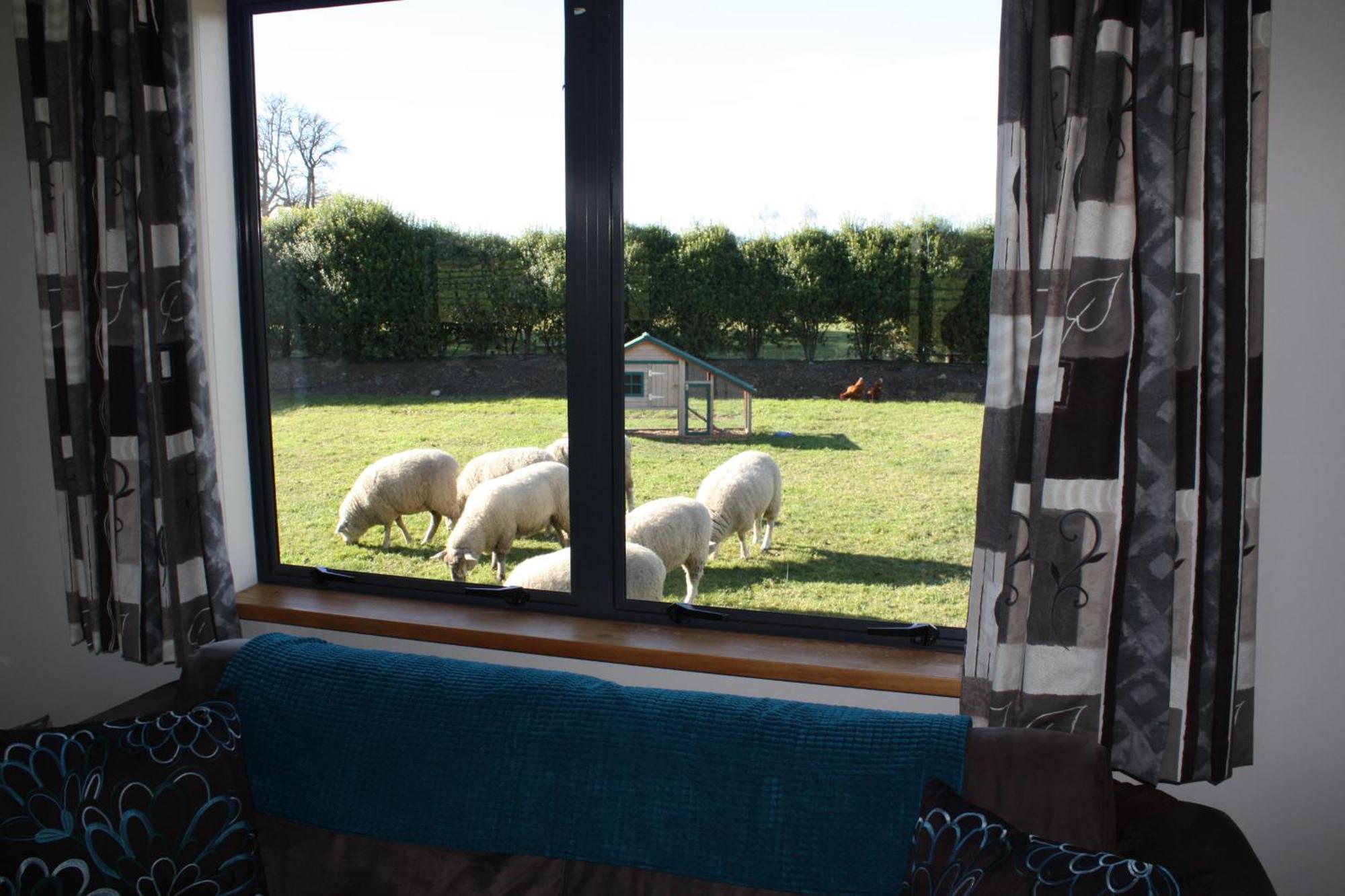 Cottages On St Andrews Havelock North Bilik gambar