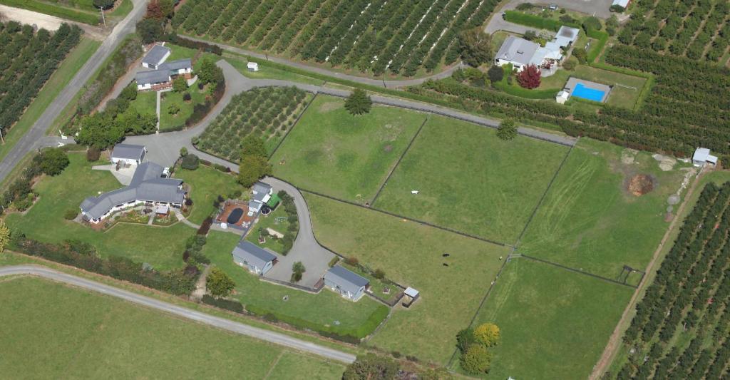Cottages On St Andrews Havelock North Luaran gambar